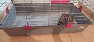 Jaula para cobaya