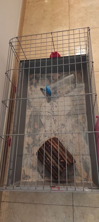 Jaula para cobaya