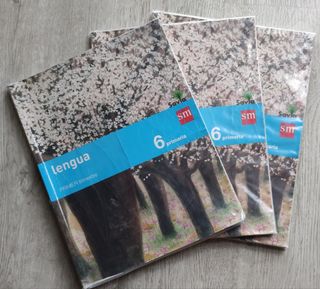 Libro lengua 6 primaria Savia SM