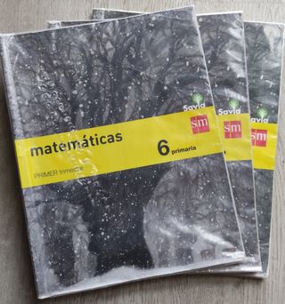 Libro matemáticas 6 primaria Savia SM