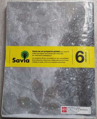 Libro matemáticas 6 primaria Savia SM