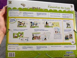 PROYECTO PALOMITAS DE MAIZ 4 AÑOS