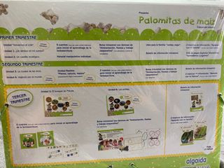 PROYECTO PALOMITAS DE MAIZ 4 AÑOS
