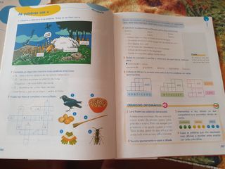 Lingua 4 primaria Anaya