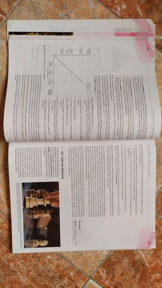 Libro Economía de la Empresa 2° Bach