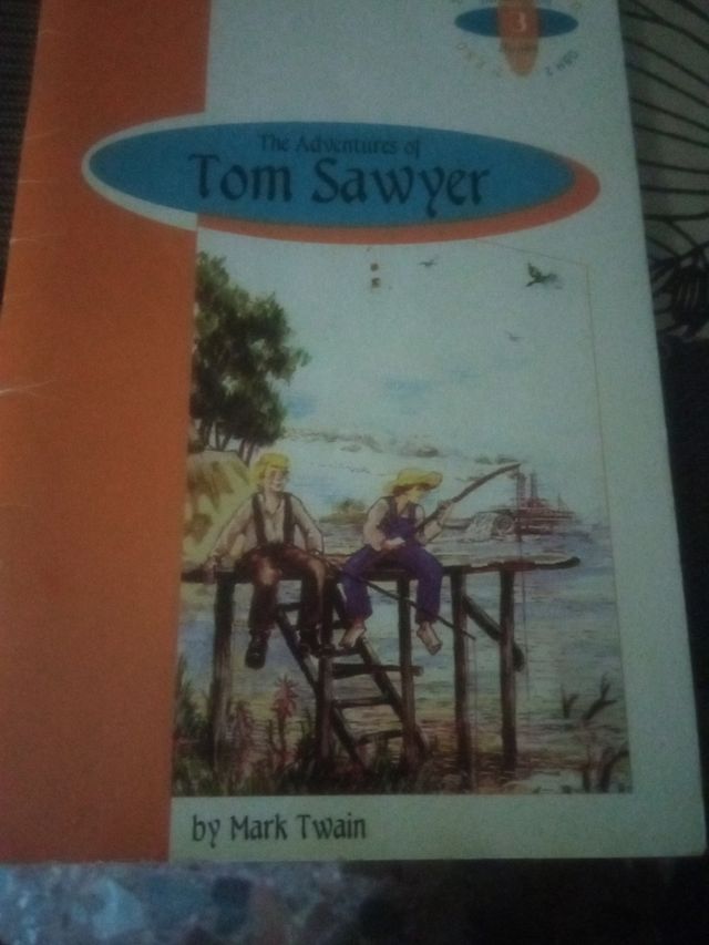 The aventures de Tom Sawyer