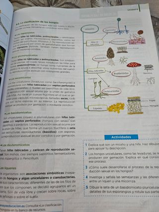 1 bachillerato