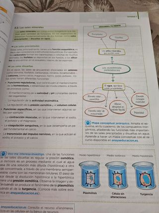 1 bachillerato