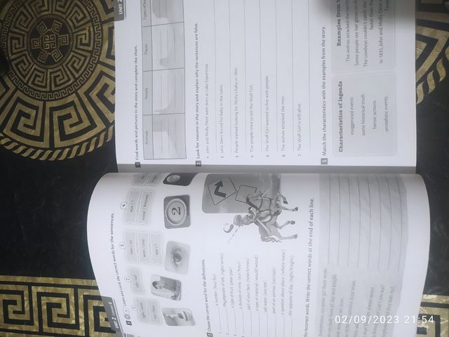 Libro inglés wonder 6:activity book