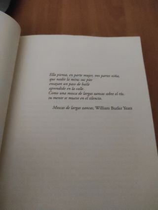 La niña del Salto, 2017 Edgar Borges