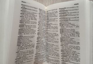 Diccionario francés