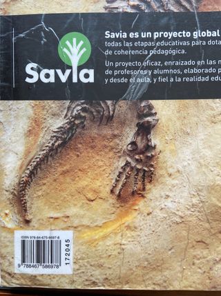 Lote de libros 4 ESO