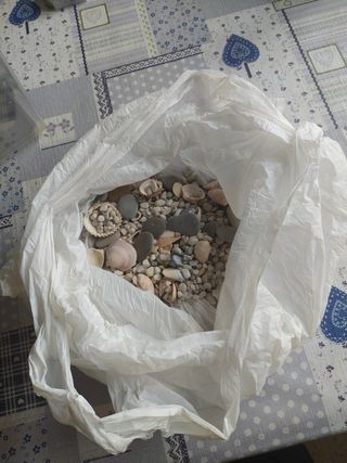 Pecera