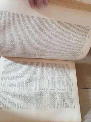 Diccionario general etimológico