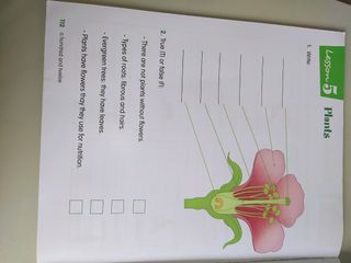 libro de ciencías naturales en inglés de 3° de pri