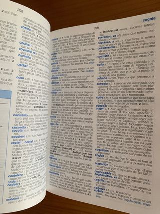 Diccionario lengua española