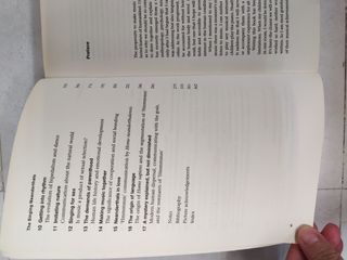 The Singing Neanderthals - Mithen