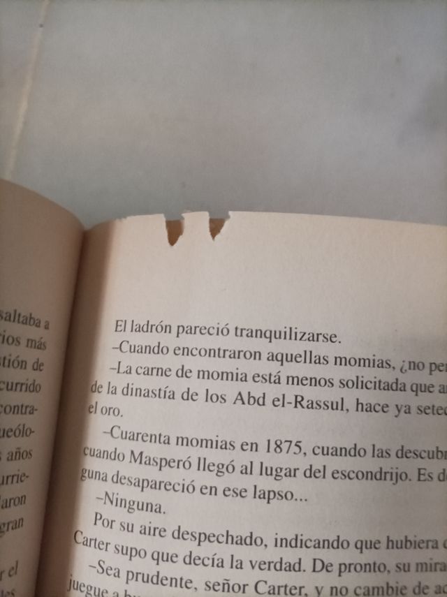 Libro Tutankamón
