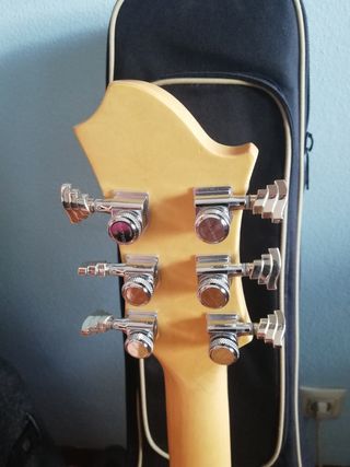 Guitarra Eléctrica Hagstrom F300