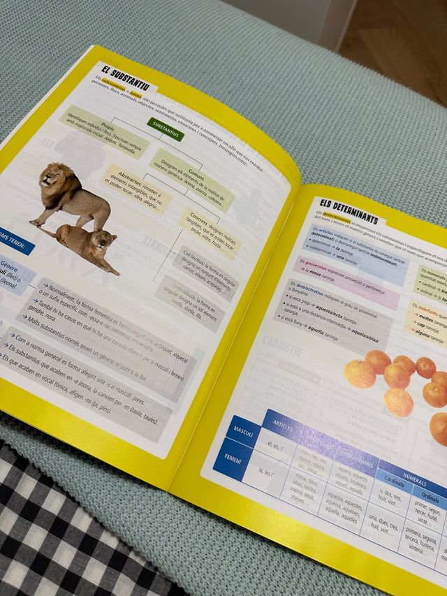 I punt. VALENCIÀ 5º PRIMÀRIA Edelvives