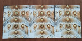 Religión Católica 3 ESO. Proyecto Siloé.