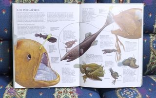 Lote 4 libros Plaza joven