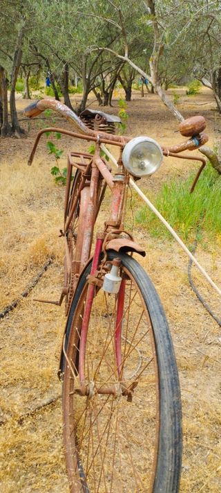 Bicicleta antigua