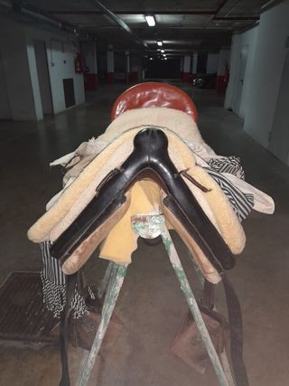 Montura vidal