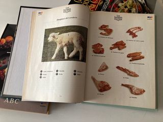 La Gran Enclipedia de la Cocina de ABC