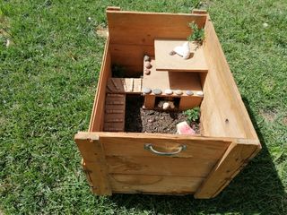 Terrario reptiles, tortugas