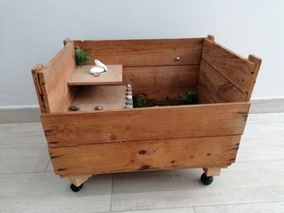 Terrario reptiles, tortugas