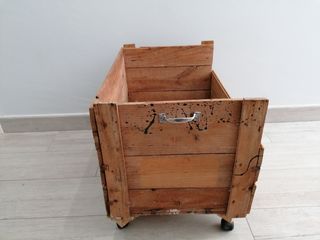 Terrario reptiles, tortugas