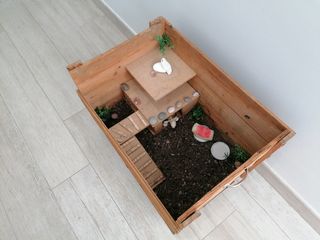 Terrario reptiles, tortugas