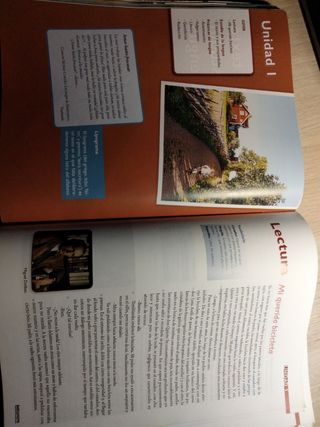 Lengua castellana y literatura 1° bachillerato