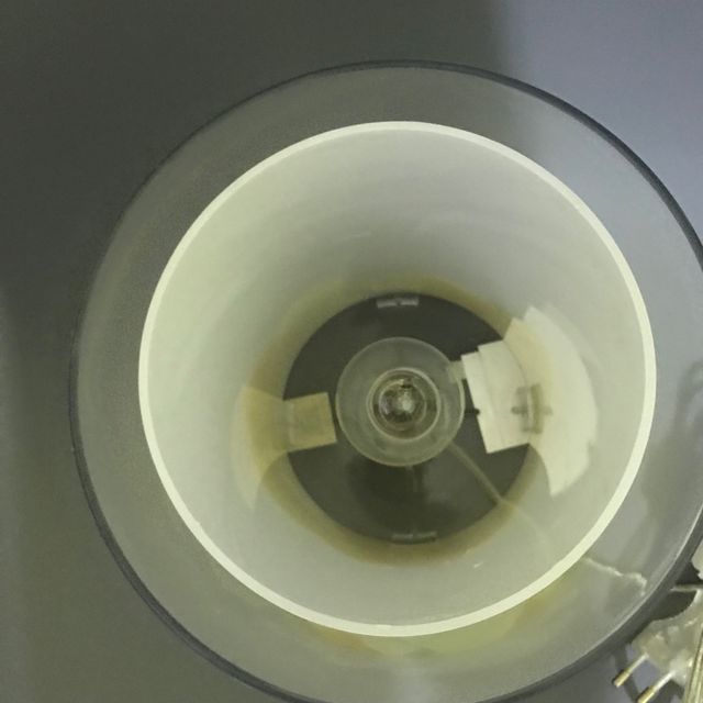 Lampada petali di Maiuguali