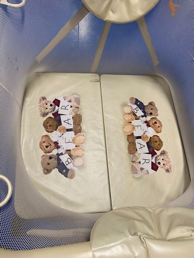 cercador duplo CAM dobrável