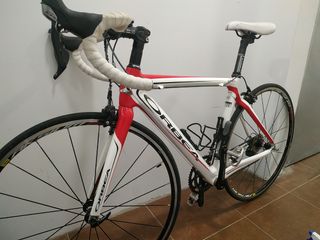 ORBEA MASTER ONIX