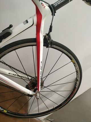 ORBEA MASTER ONIX