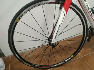 ORBEA MASTER ONIX