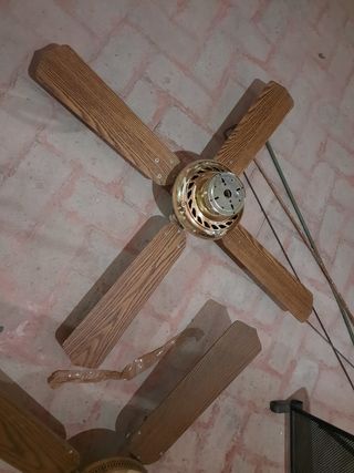 Ventilador de techo