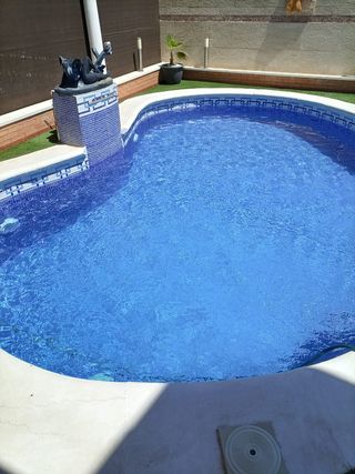 Limpiar lijar Y pintar las piscinas 
