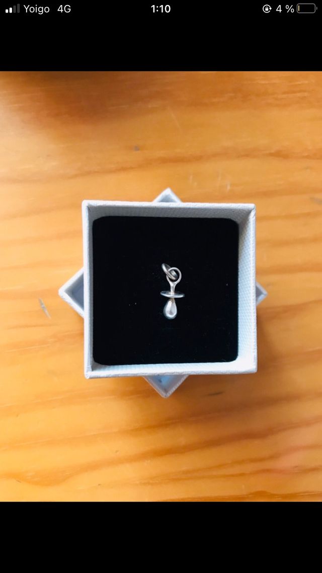 Colgantes y orquillas bisuteria