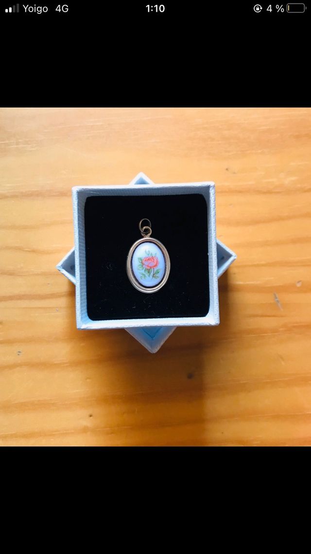 Colgantes y orquillas bisuteria