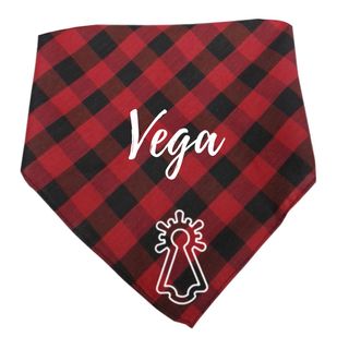 CACHIRULO PERSONALIZADO!! disponible para niños