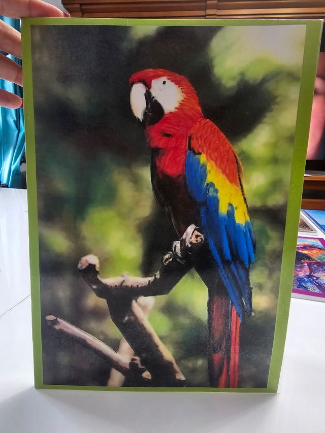 Cuadernos personalizados