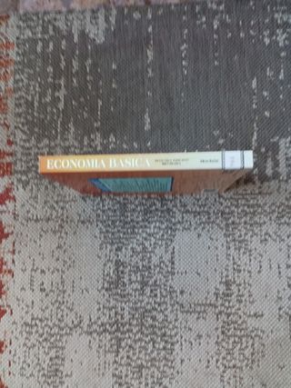 ✅ Economía Básica ✅