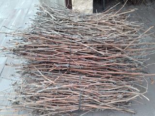 Gavillas de Sarmiento