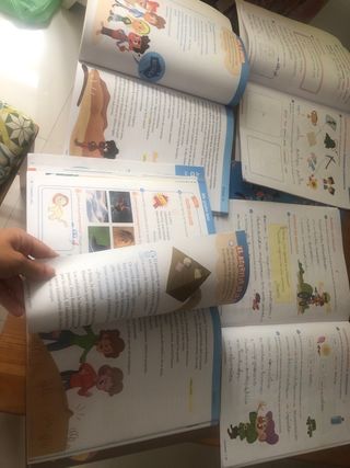 libro lengua 2 primaria SM