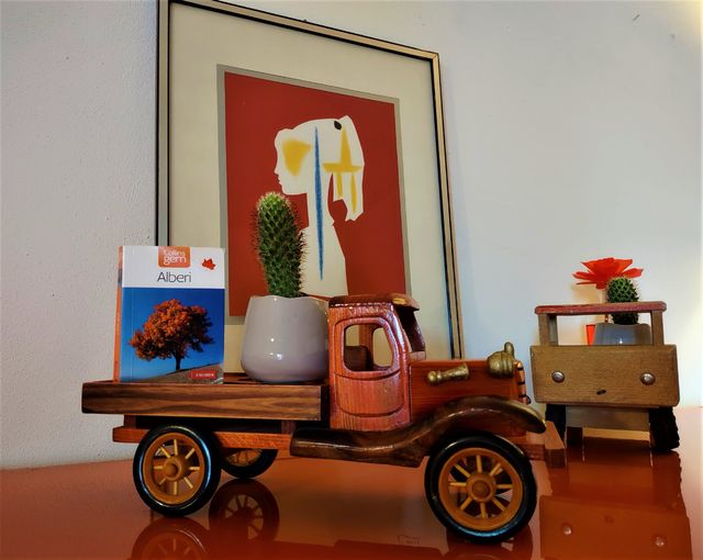 Camion in legno(camion jouet,camión ,de juguete)