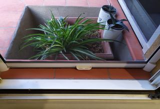 Mosquitera 65-90x5x160cm ajustable para ventana